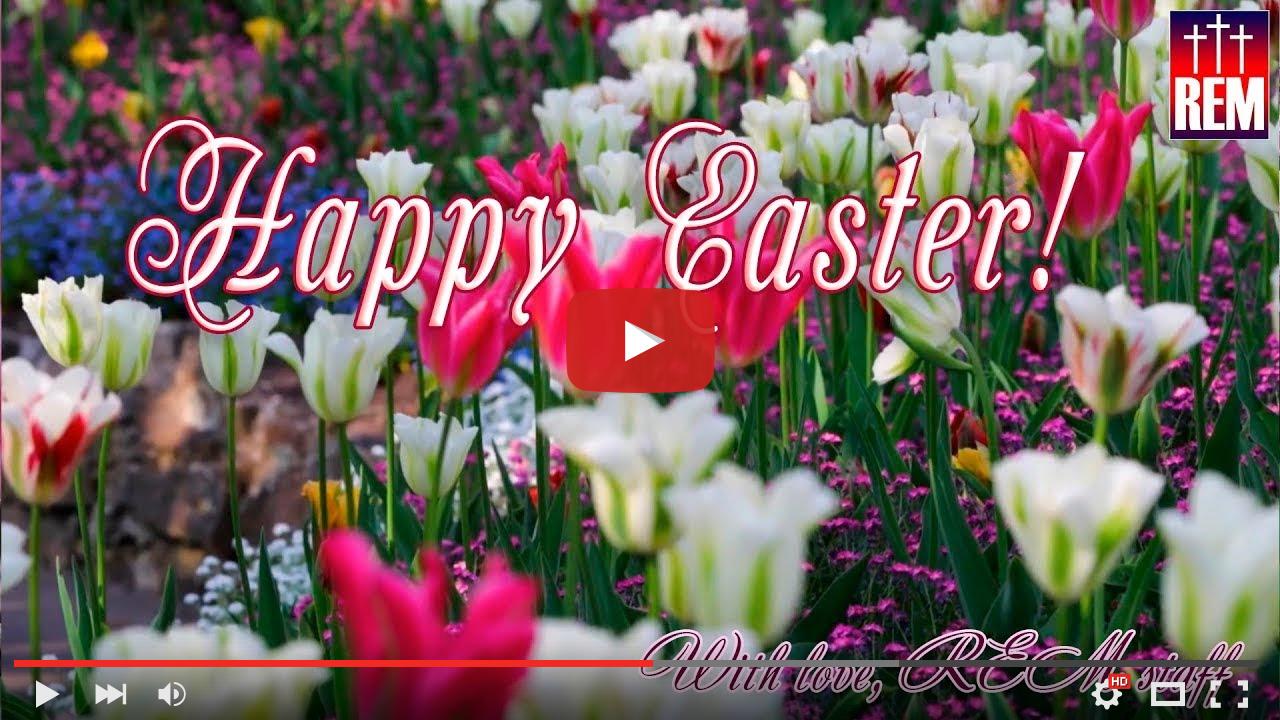 video_preview_862335e56c69e9415cf94beeb7b97d3d.jpg
