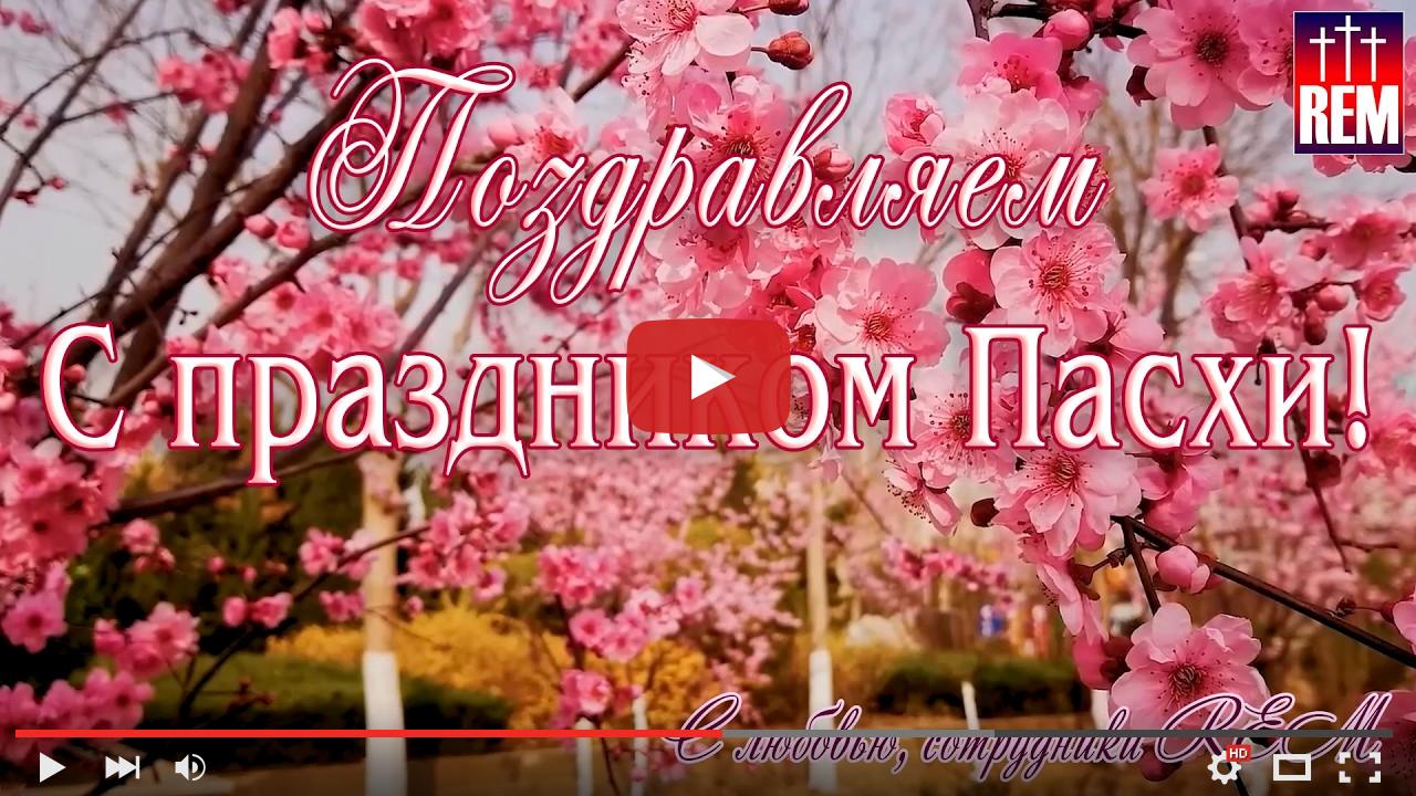 video_preview_ebbff8bc6e3f84cc62aef5d37384425f.jpg